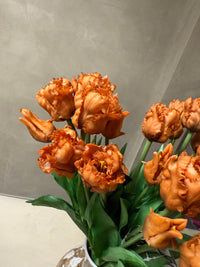 Parkiet tulpen oranje