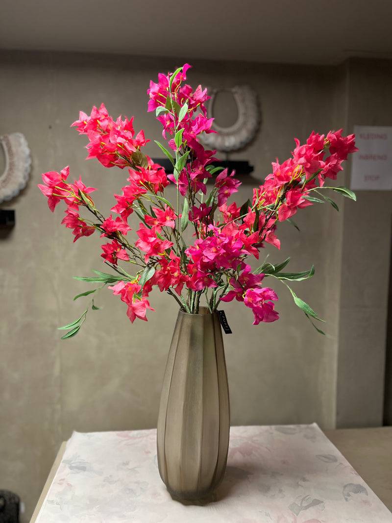 Zijdenboeket Bougainvillea