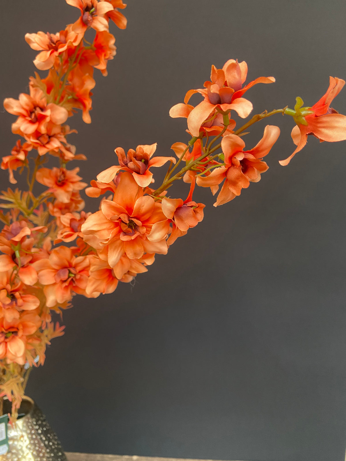 Delphinium orange 95cm