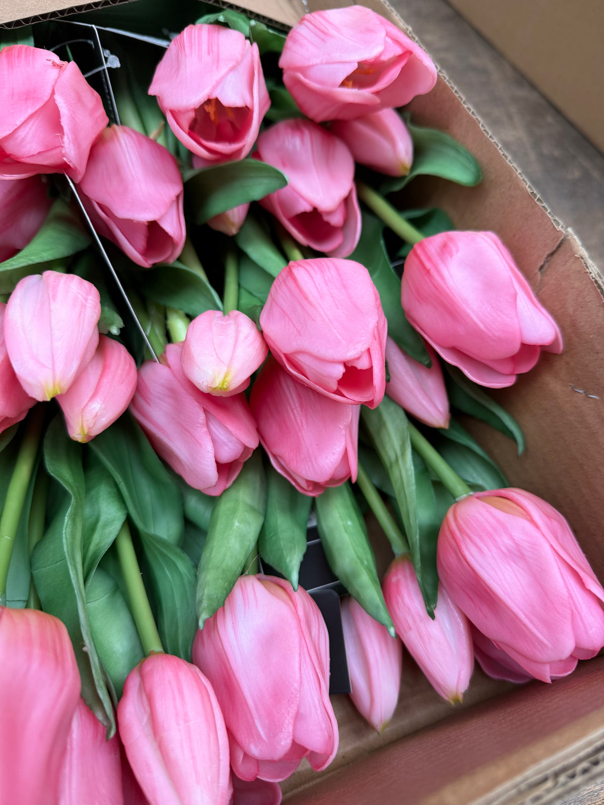 Tulpen roze