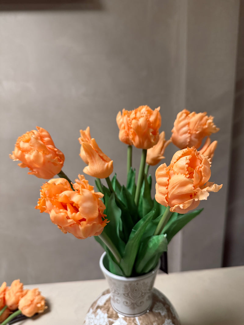 Parkiet tulpen zalm