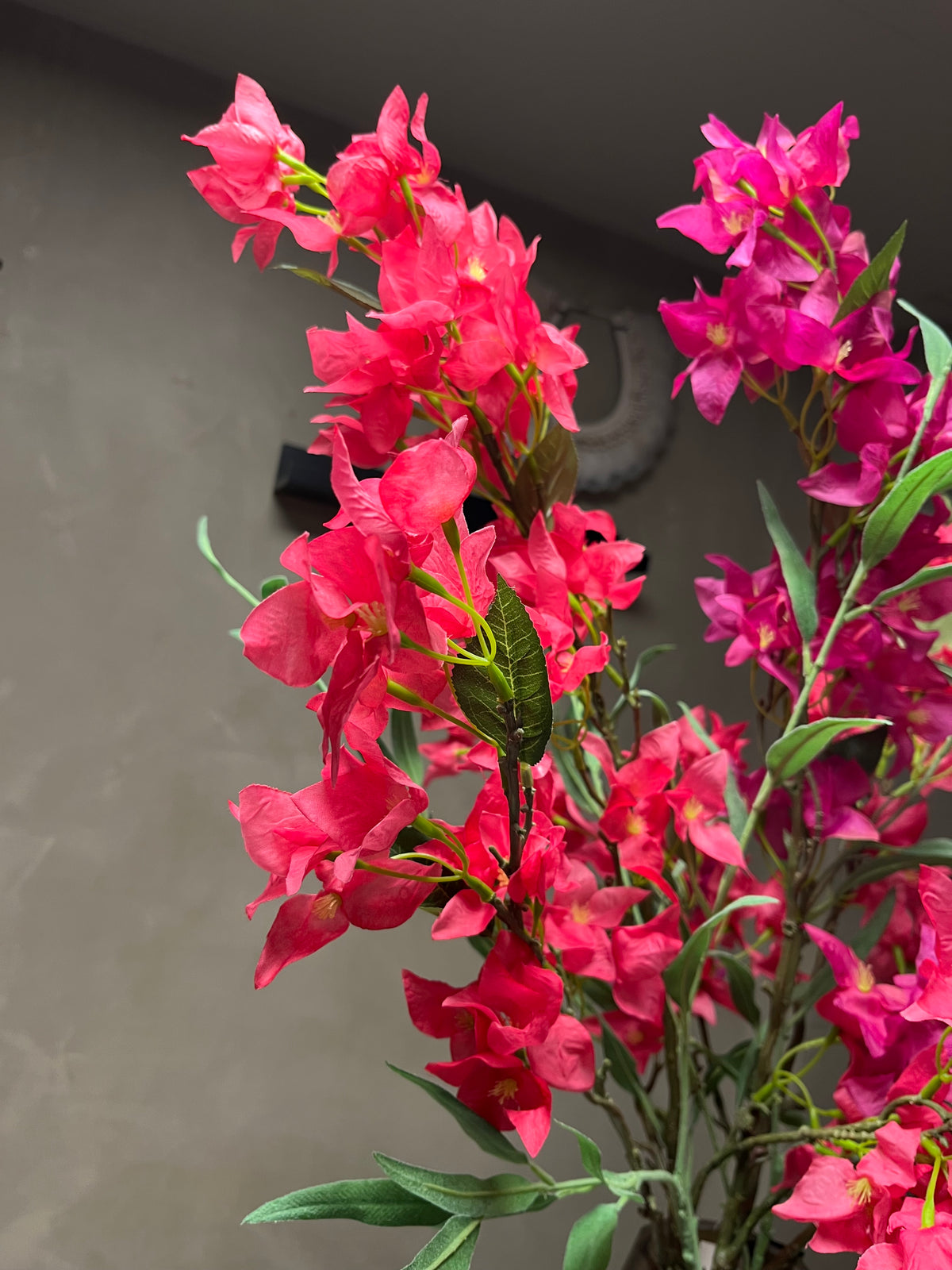 Zijdenboeket Bougainvillea