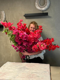 Bougainvillea purple