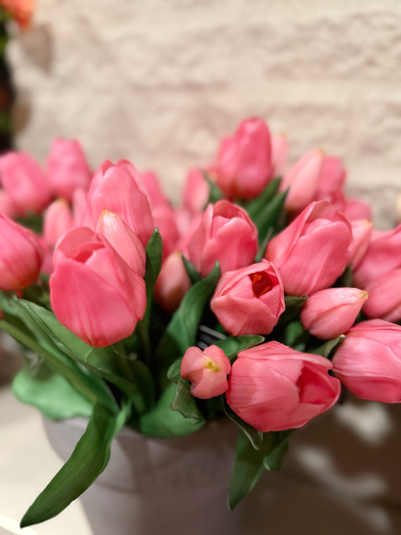 Tulpen roze