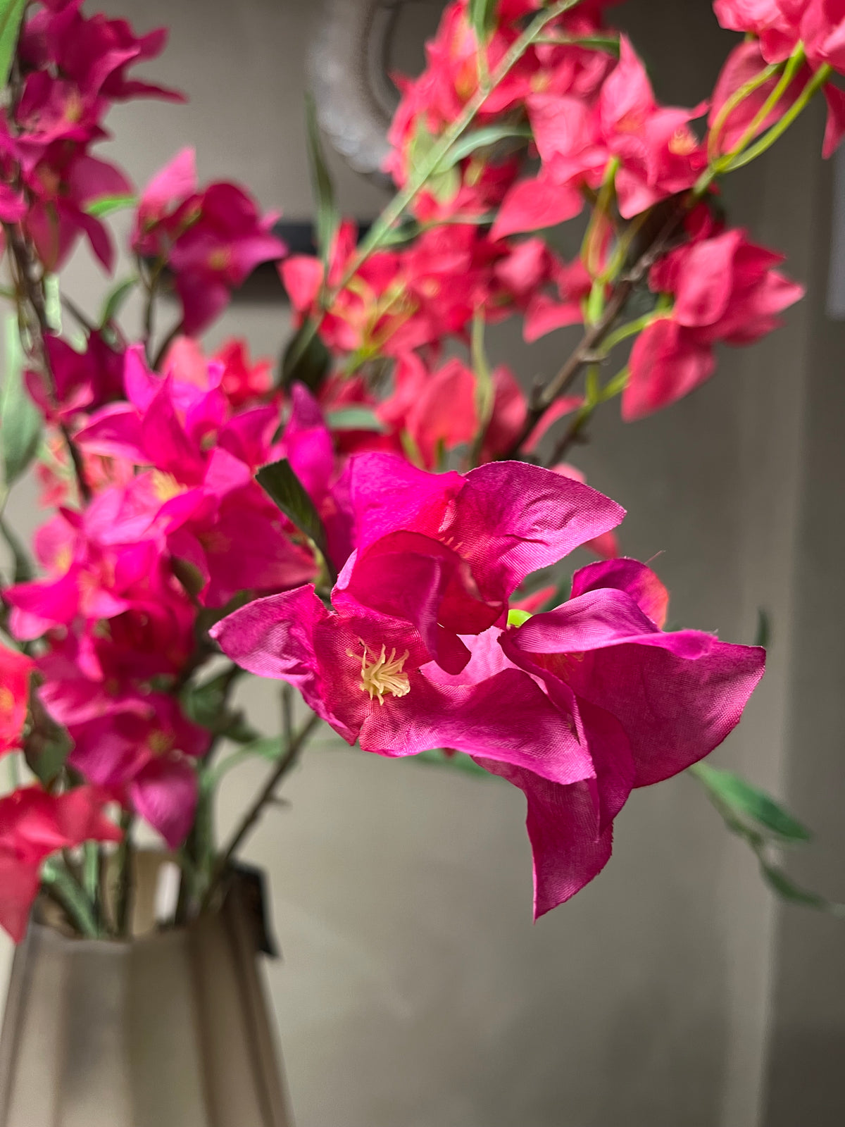 Zijdenboeket Bougainvillea