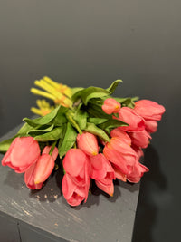 Tulpen roze