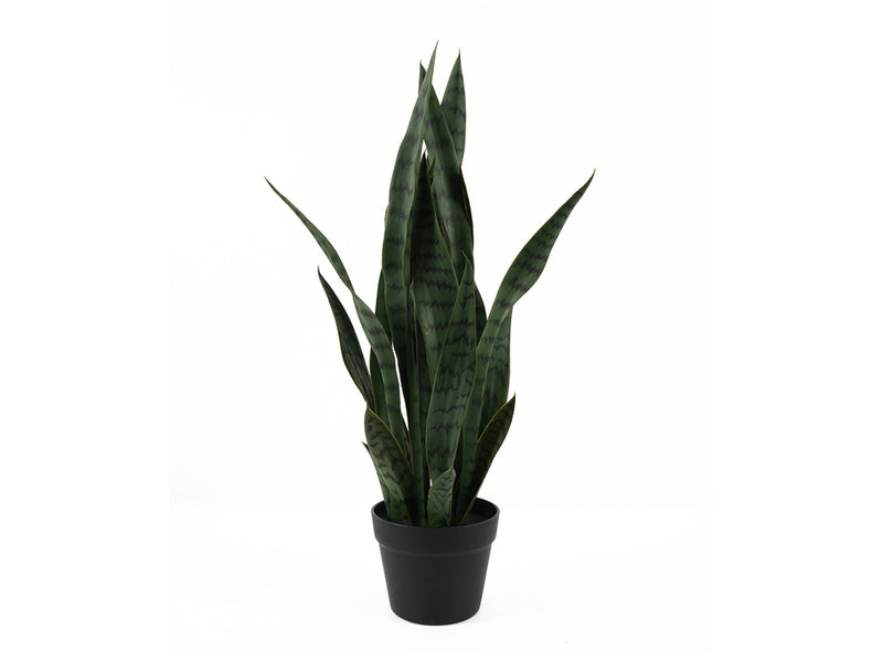 Artificial Plant Sansevieria