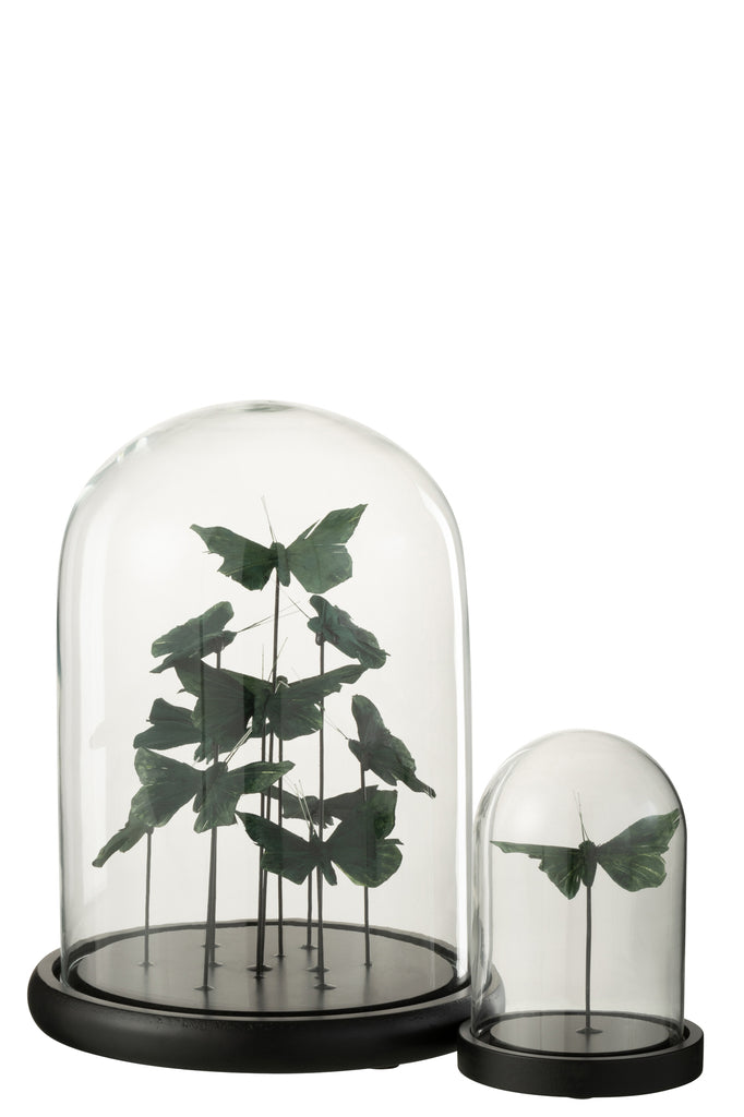 Bell Jar Butterflies Glass Dark Green Large