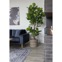 Fiddle Leaf Tree - Artificial plant 190 cm