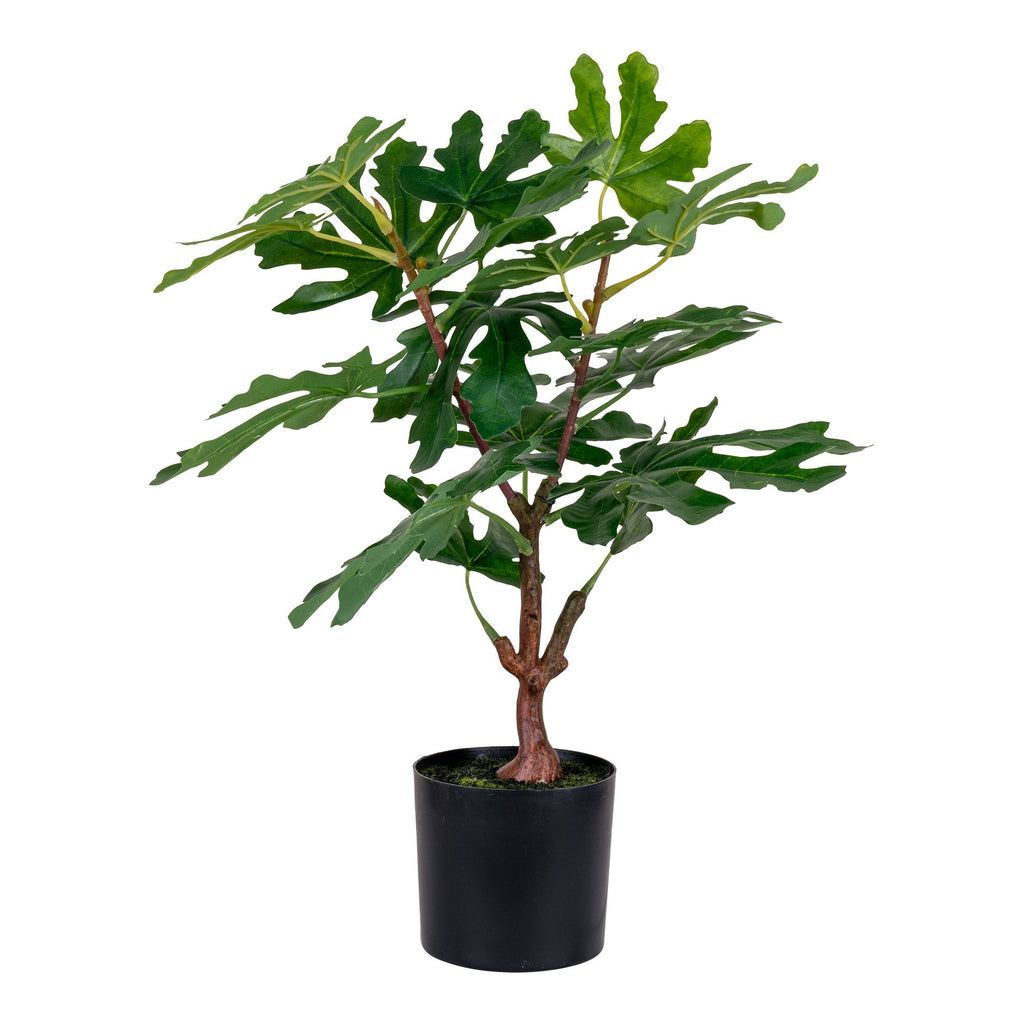 Fig Tree - Artificial tree, green, 50 cm