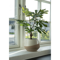 Fig Tree - Artificial tree, green, 50 cm