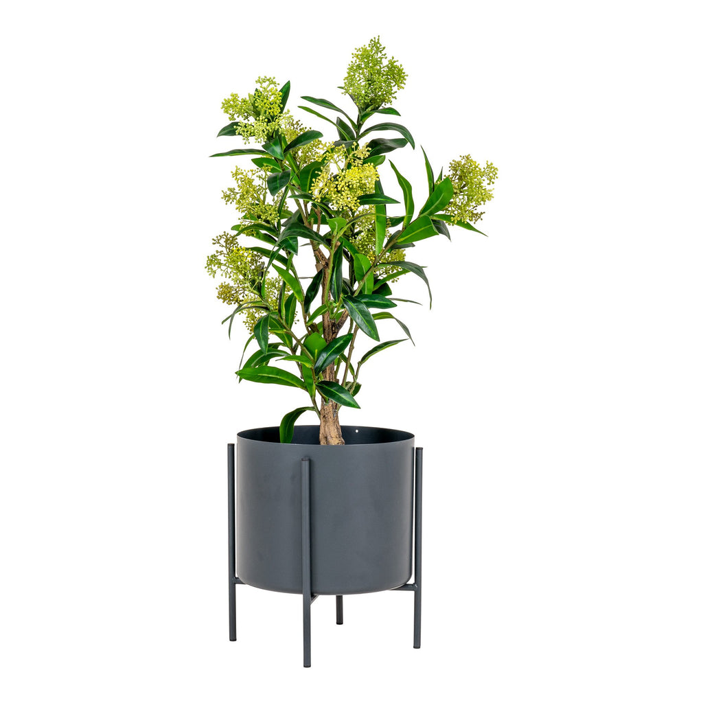 Skimmia Tree - Artificial plant, green, 75 cm