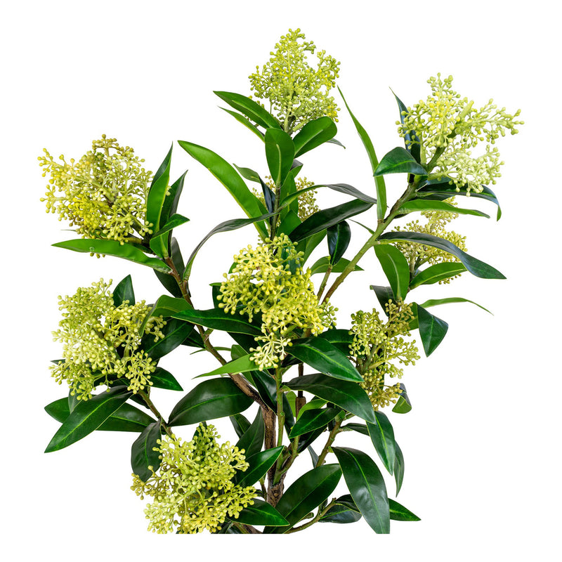 Skimmia Tree - Artificial plant, green, 75 cm