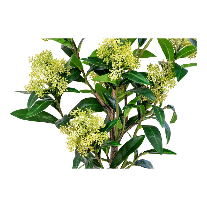 Skimmia Tree - Artificial plant, green, 75 cm