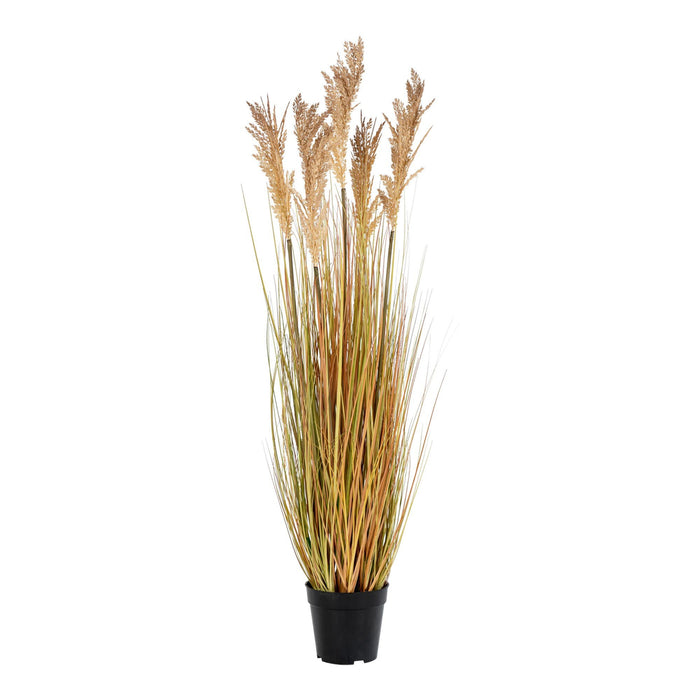 Sorghum Grass - Artificial plant