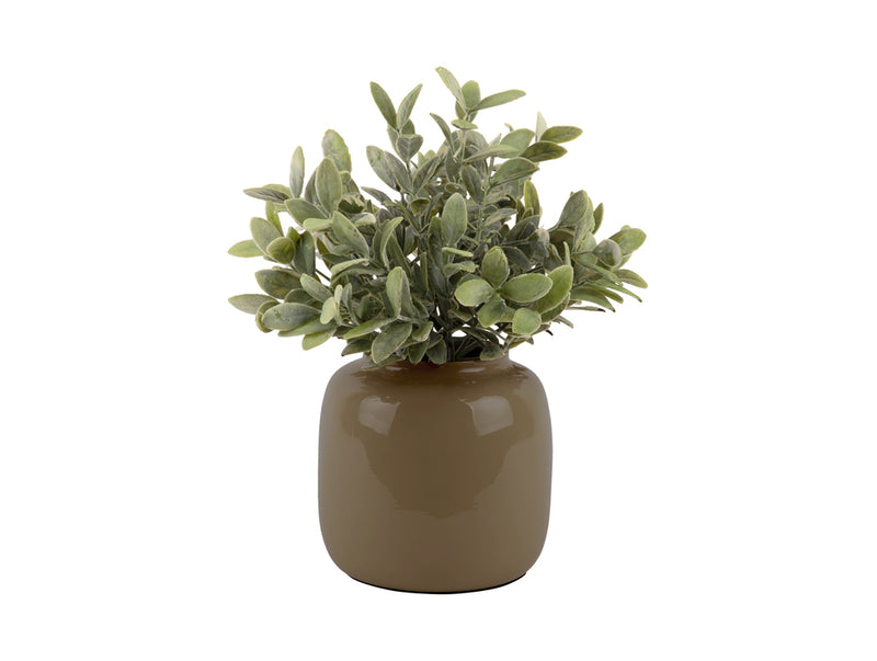 Vase Ivy Small