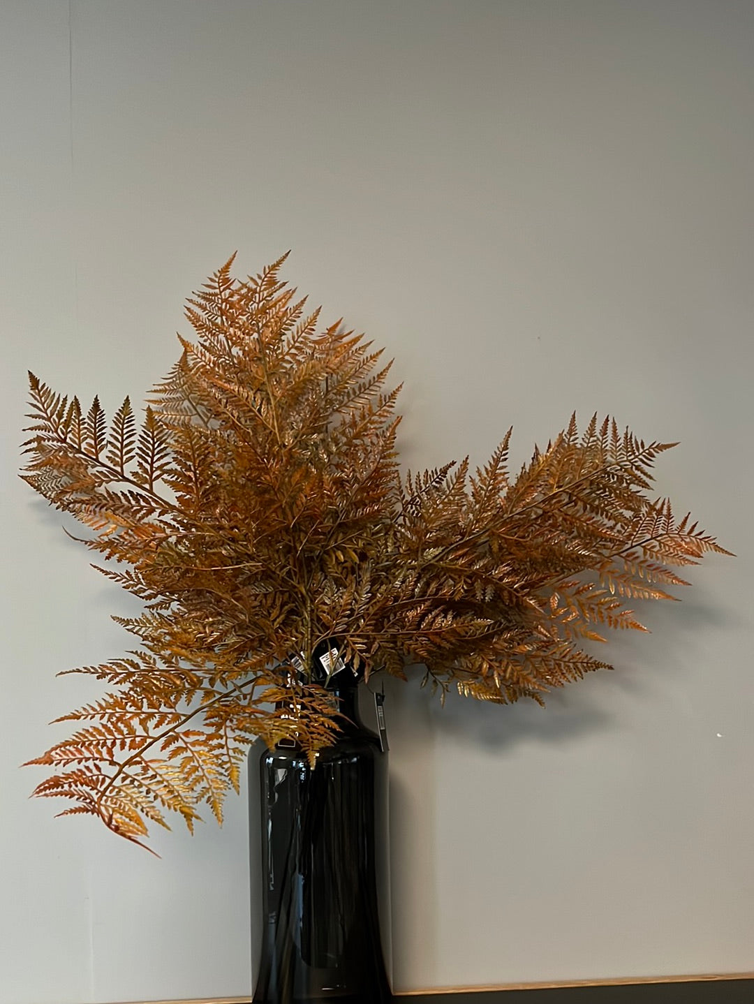 Fern Leaf Brown