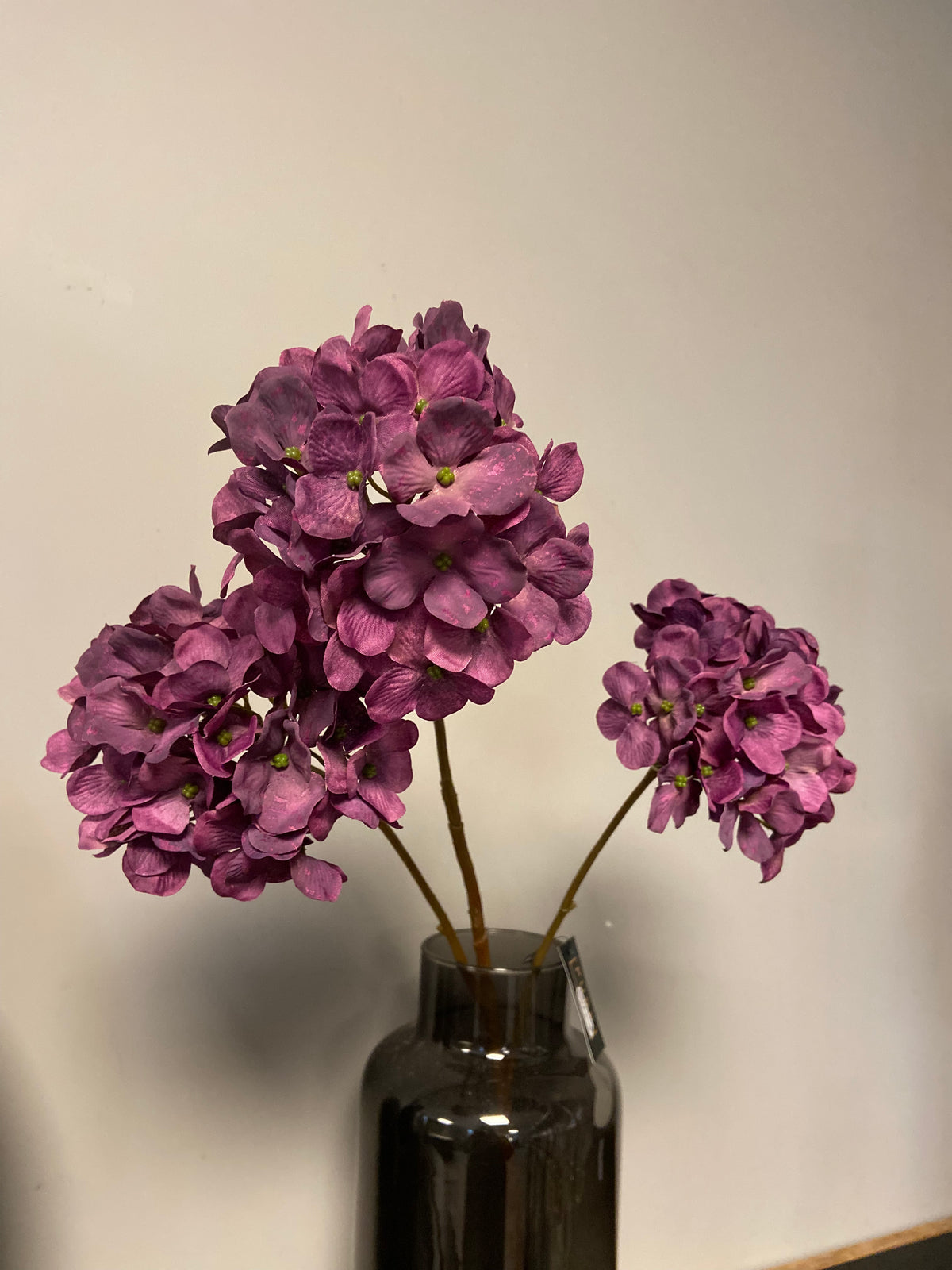 Fall hydrangea purple