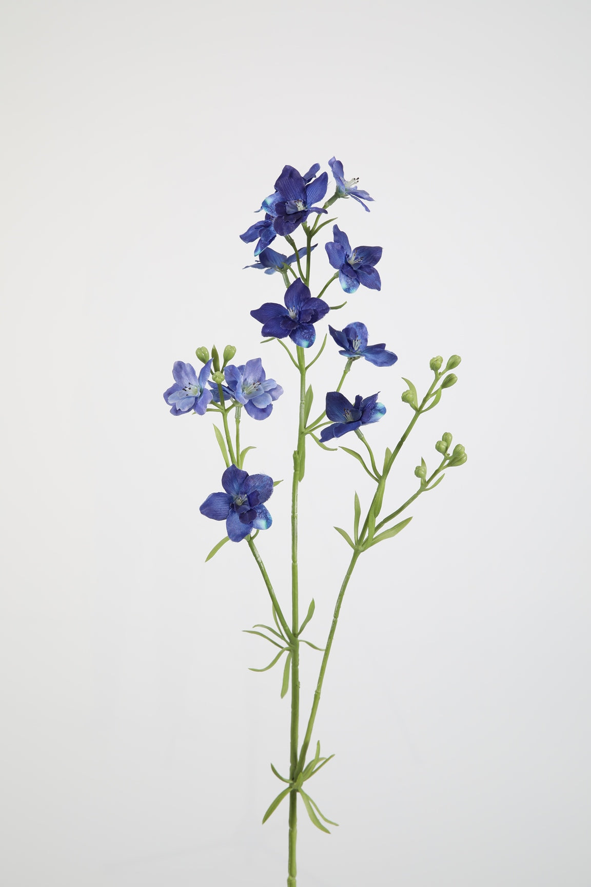 Larkspur Spray