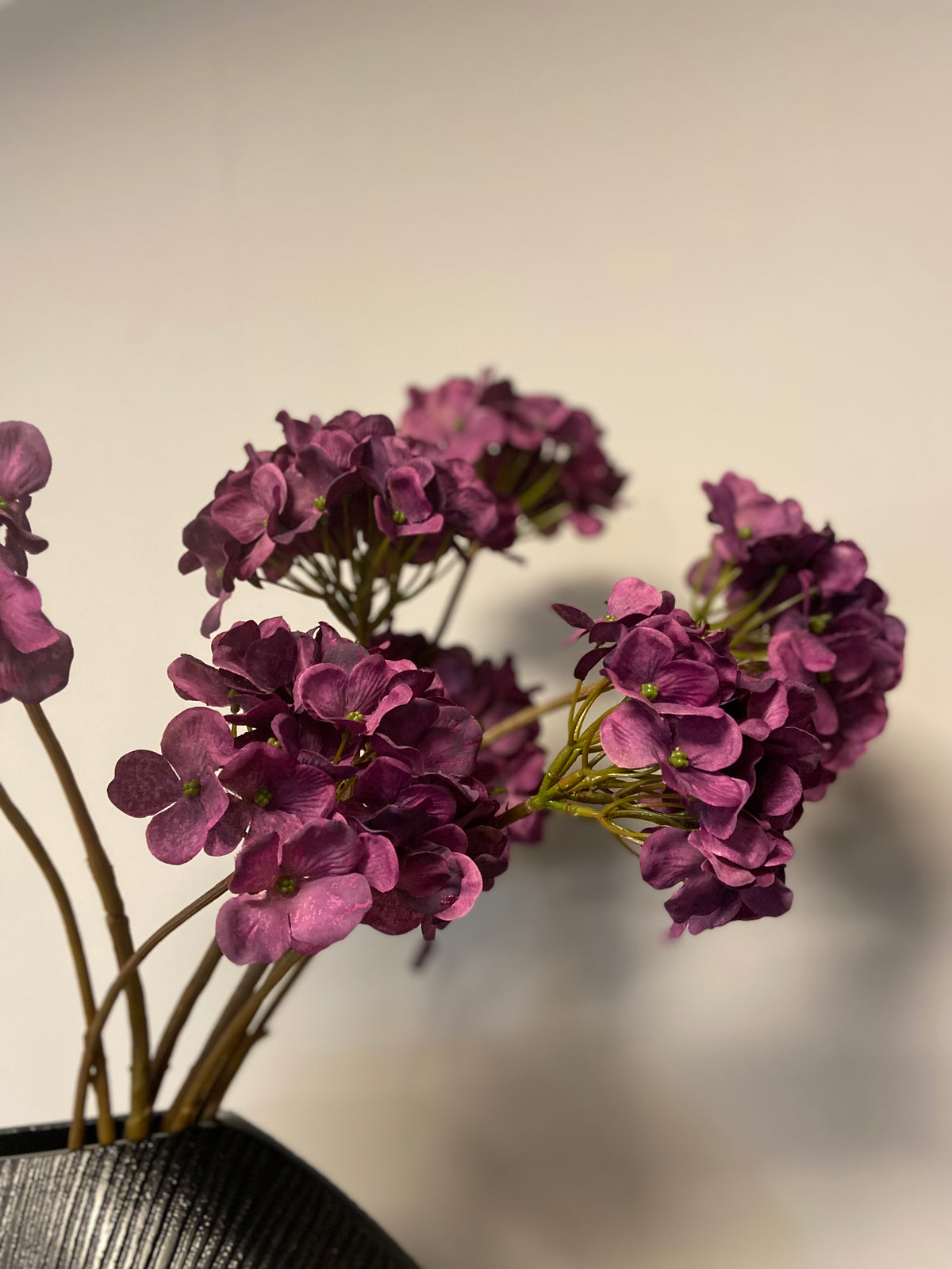 Fall hydrangea purple