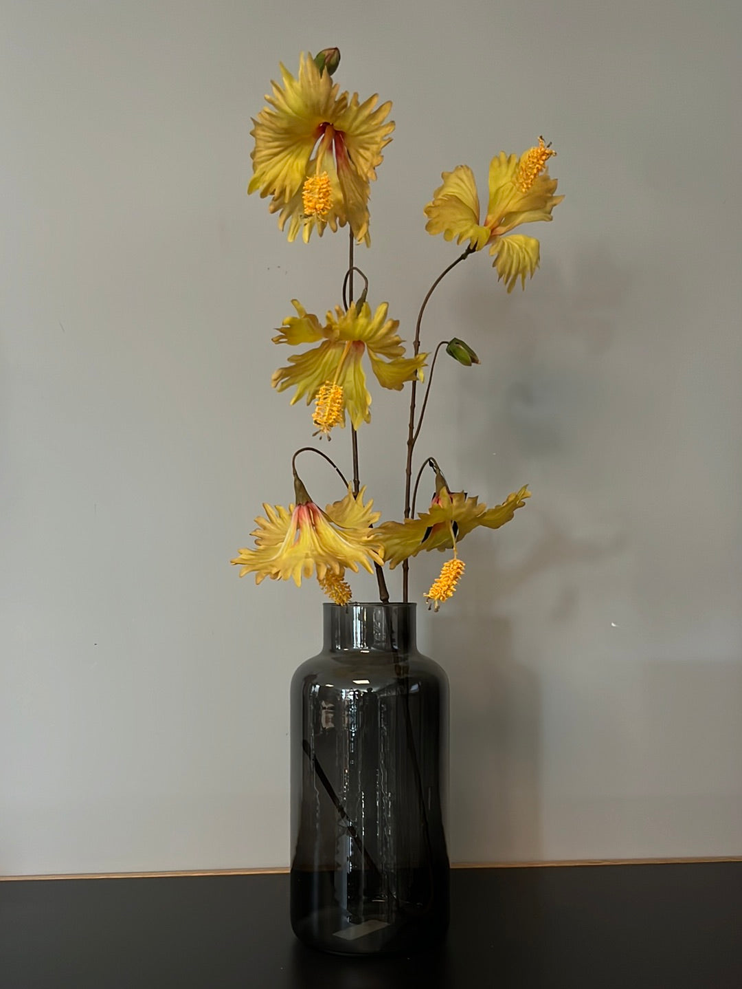 Hibiscus Hanging