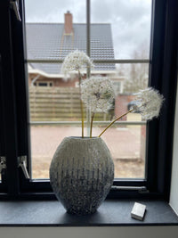 Dandelion - paardebloem zijde