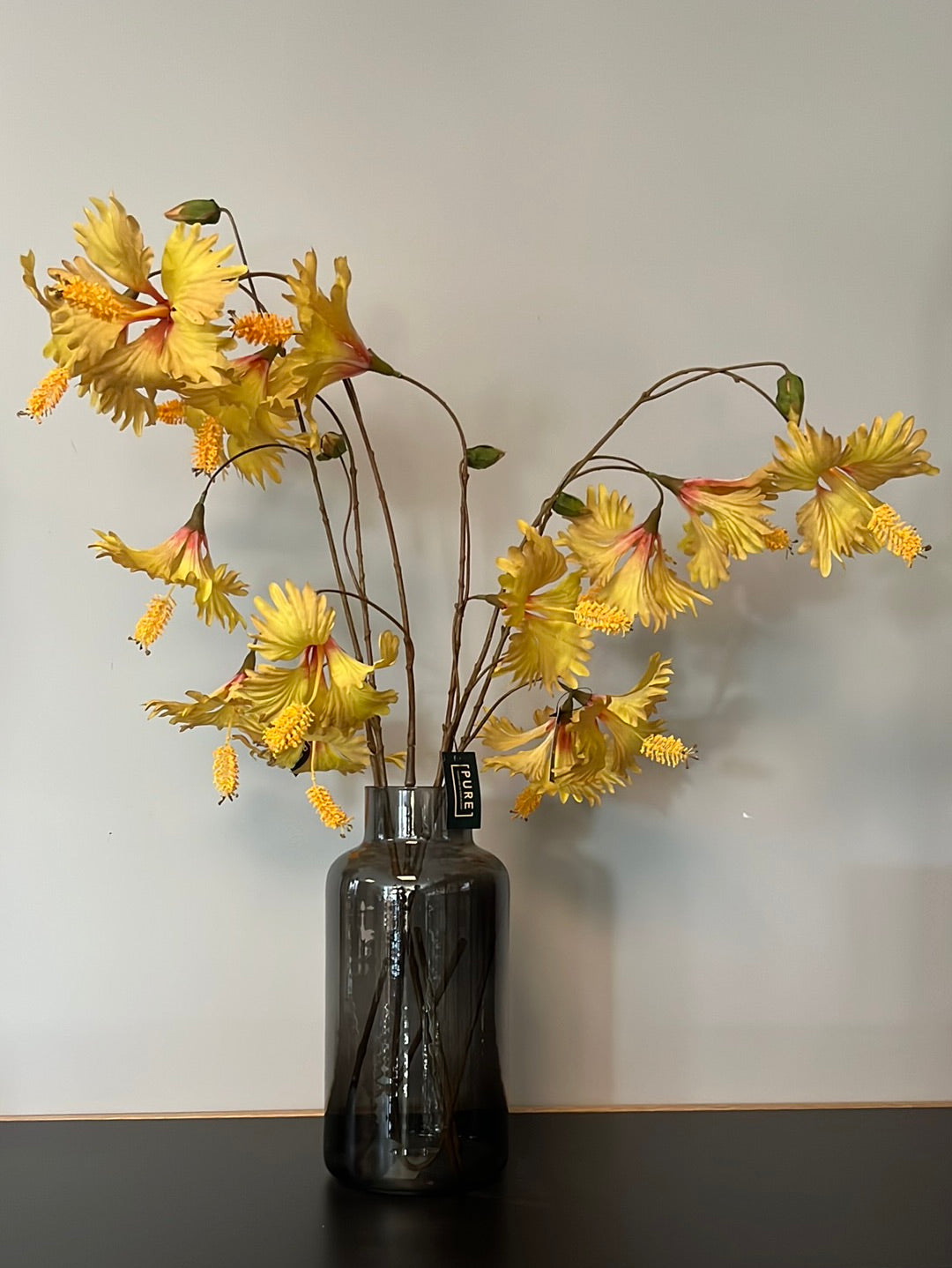 Hibiscus Hanging