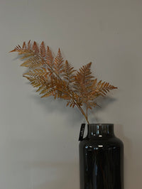 Fern Leaf Brown